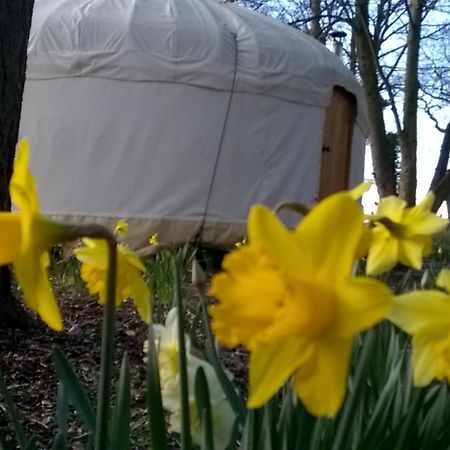 Dereham Gingerbread Cottage Yurts מראה חיצוני תמונה