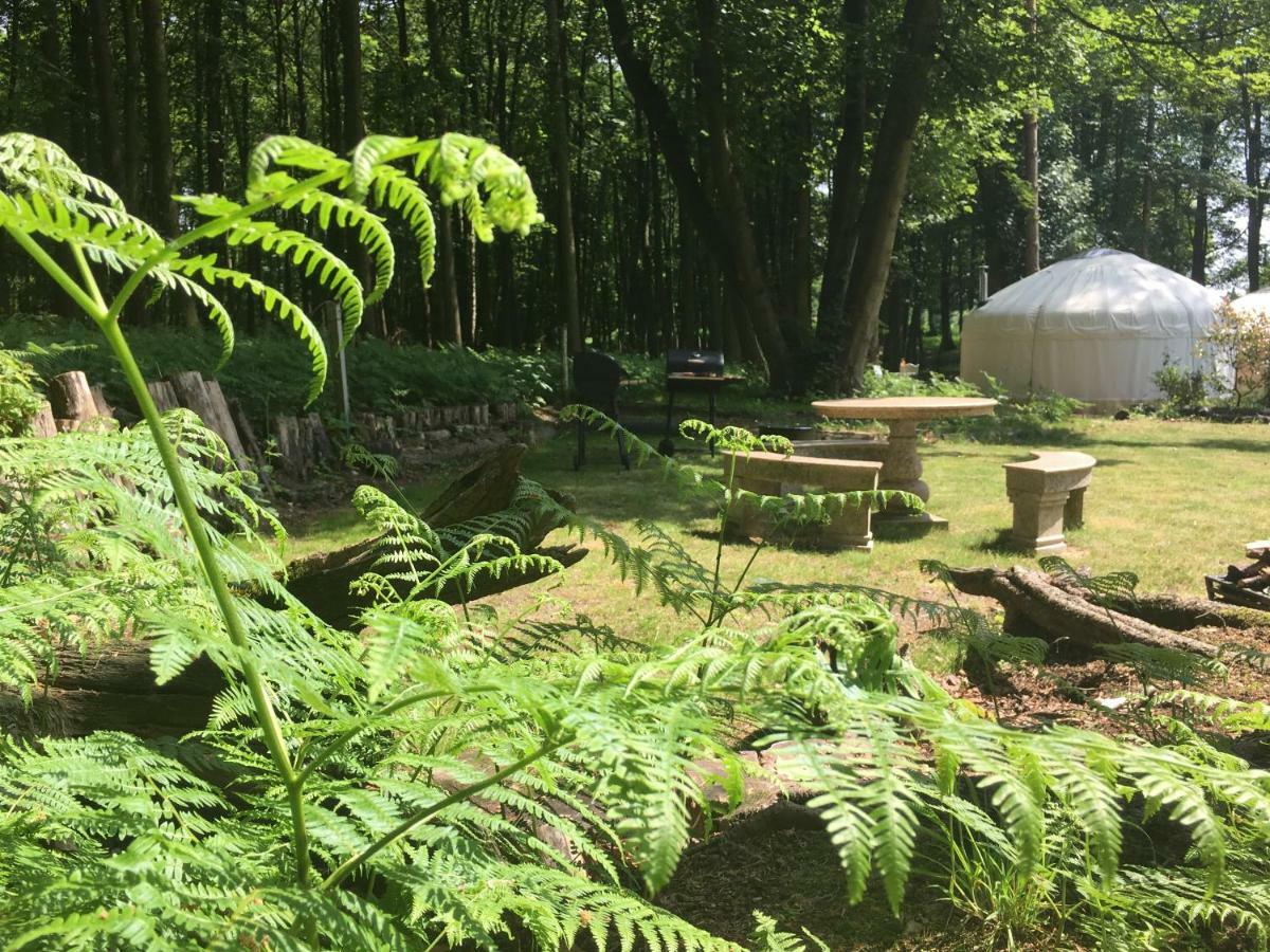 Dereham Gingerbread Cottage Yurts מראה חיצוני תמונה