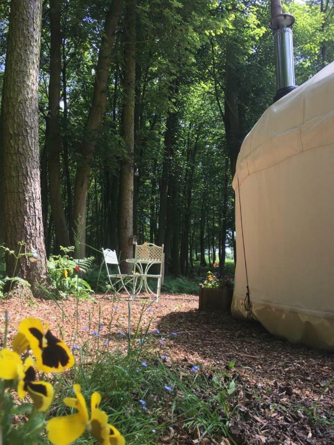 Dereham Gingerbread Cottage Yurts מראה חיצוני תמונה